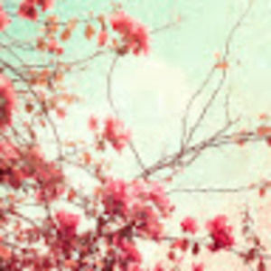 Meet your Posher, Chloe